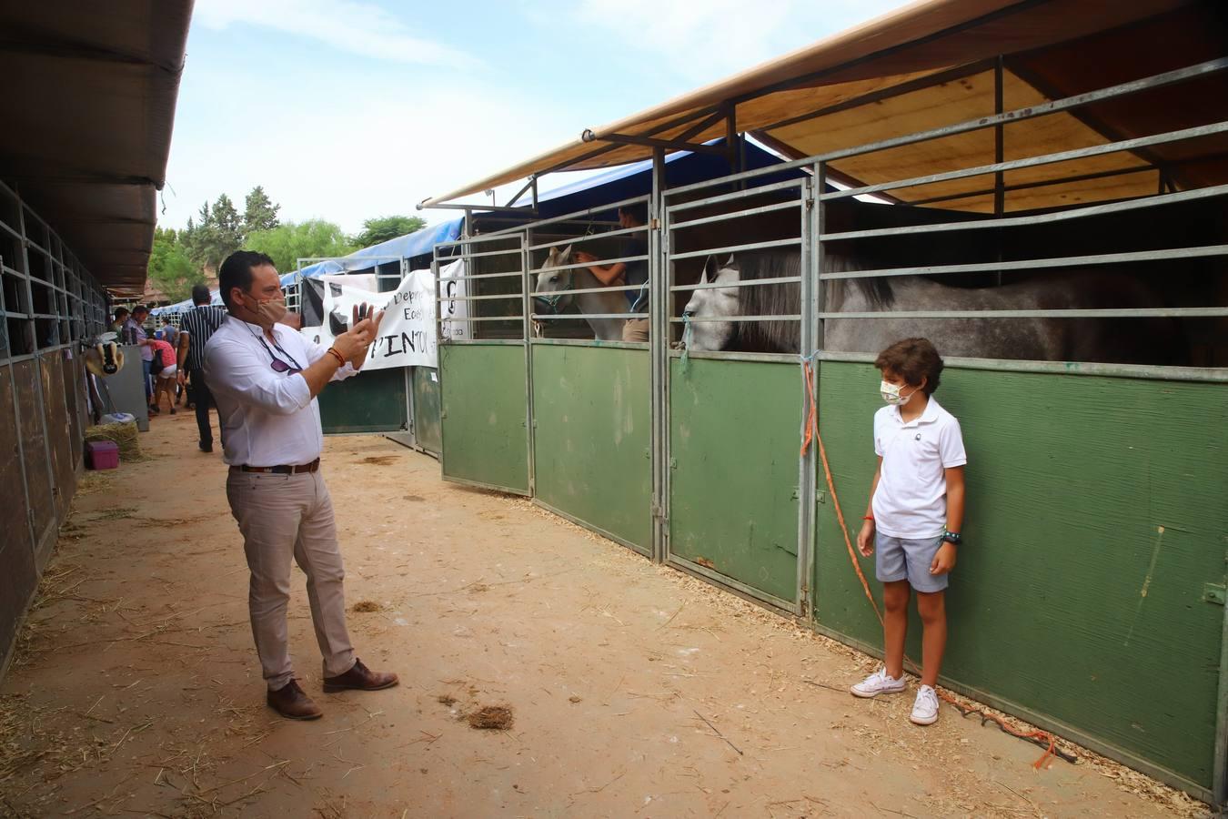 El concurso nacional de doma clásica en Caballerizas Reales, en imágenes