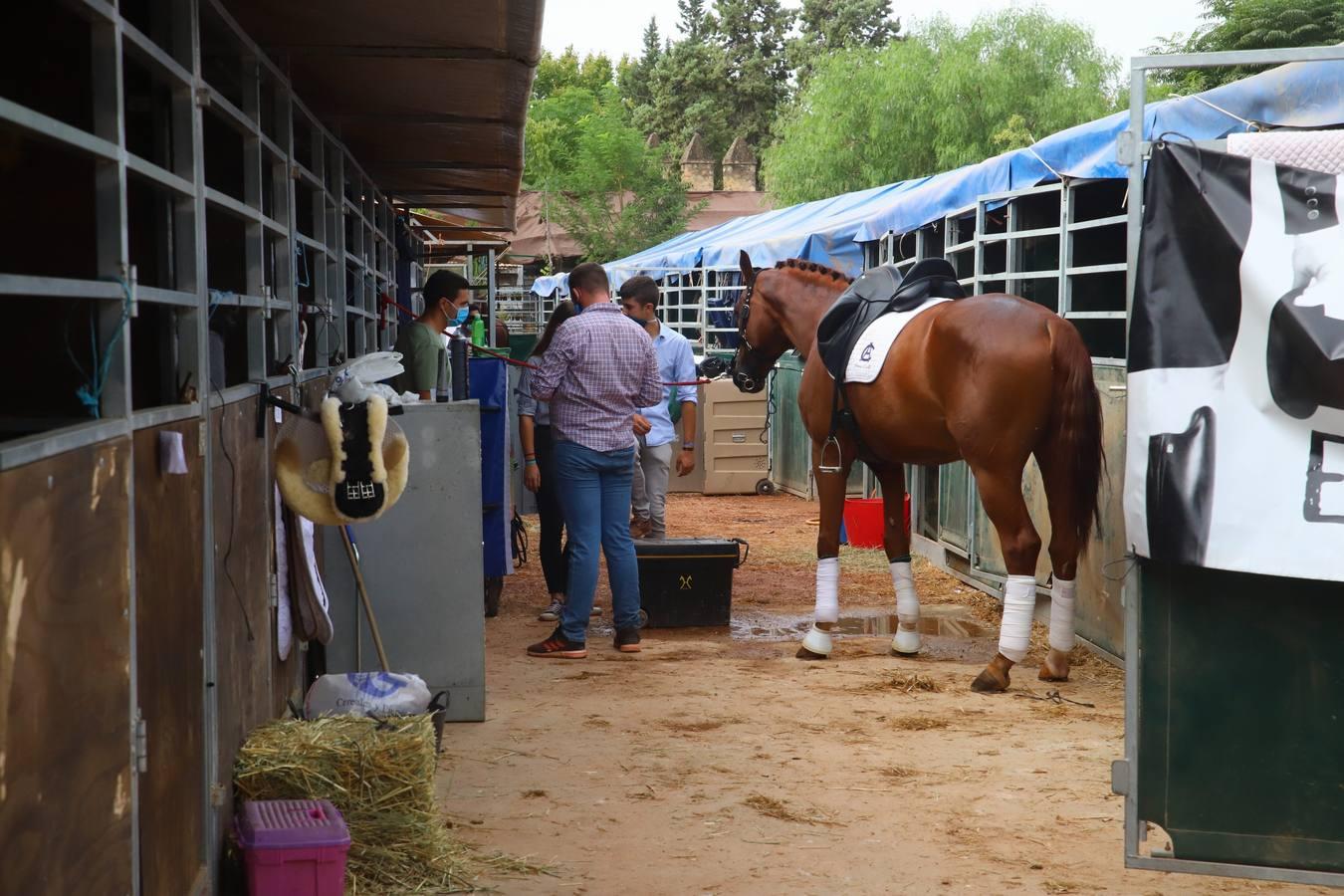 El concurso nacional de doma clásica en Caballerizas Reales, en imágenes