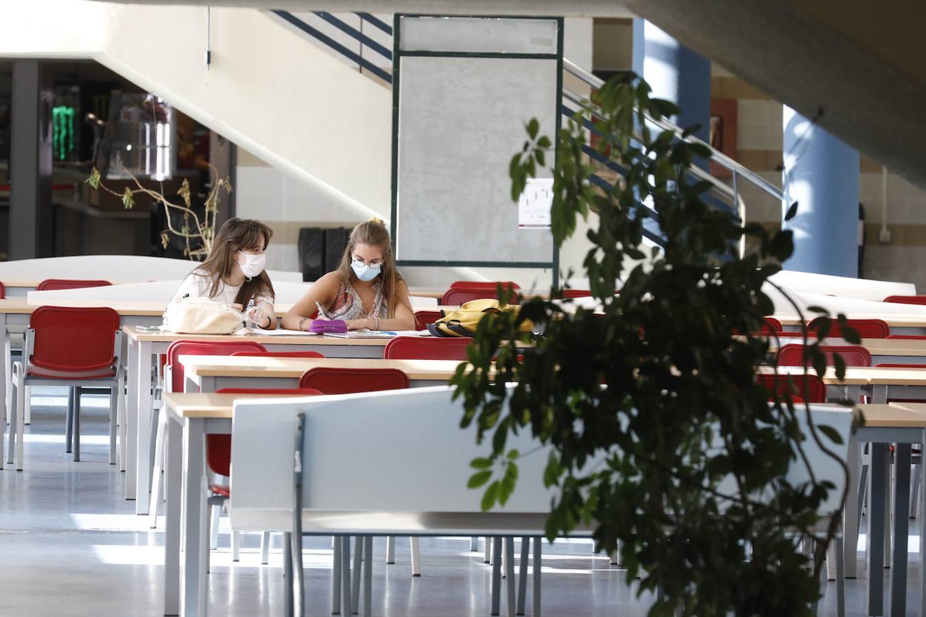 La vuelta a las clases de la Universidad de Córdoba, en imágenes