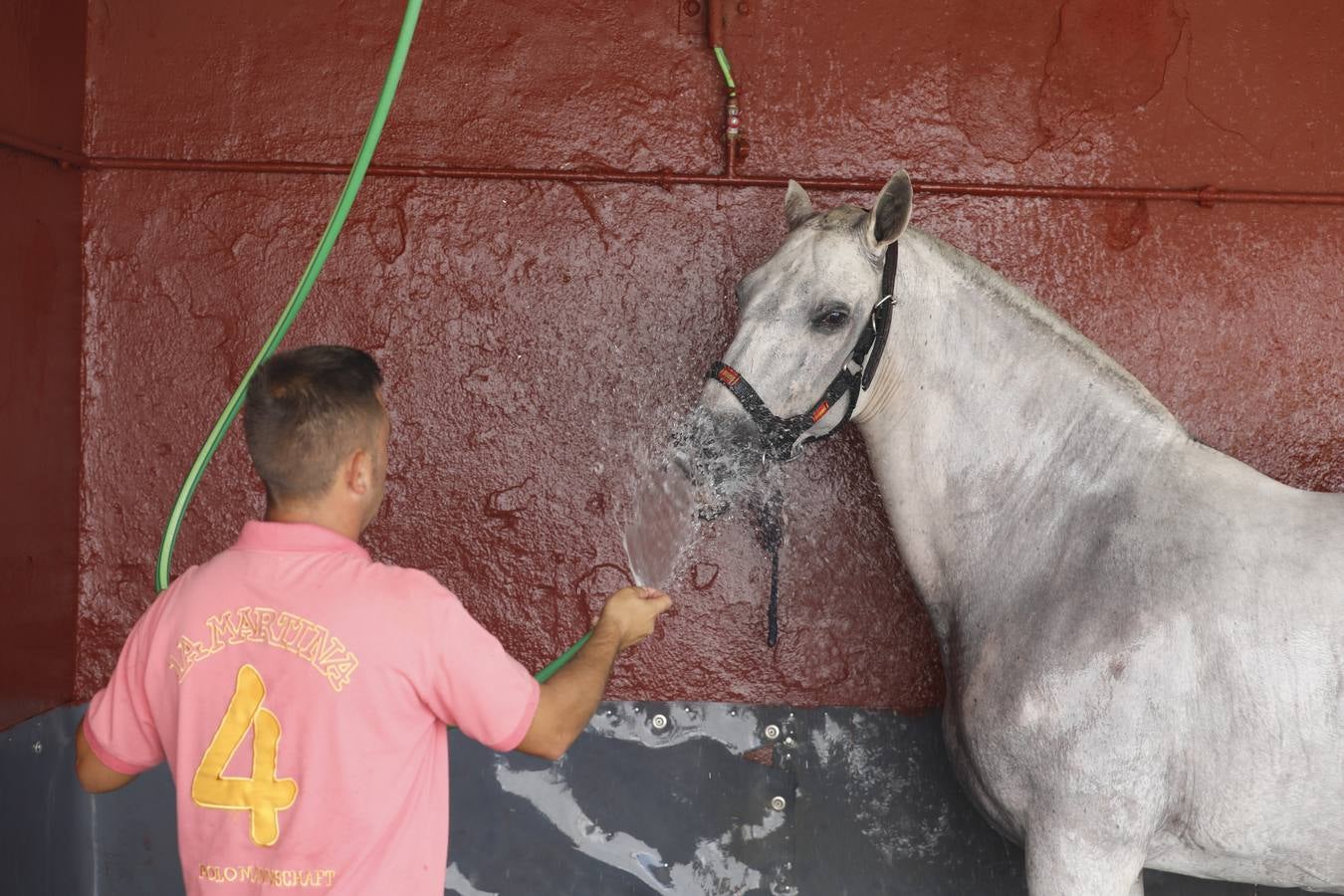 La presentación de Cabalcor 2020, en imágenes