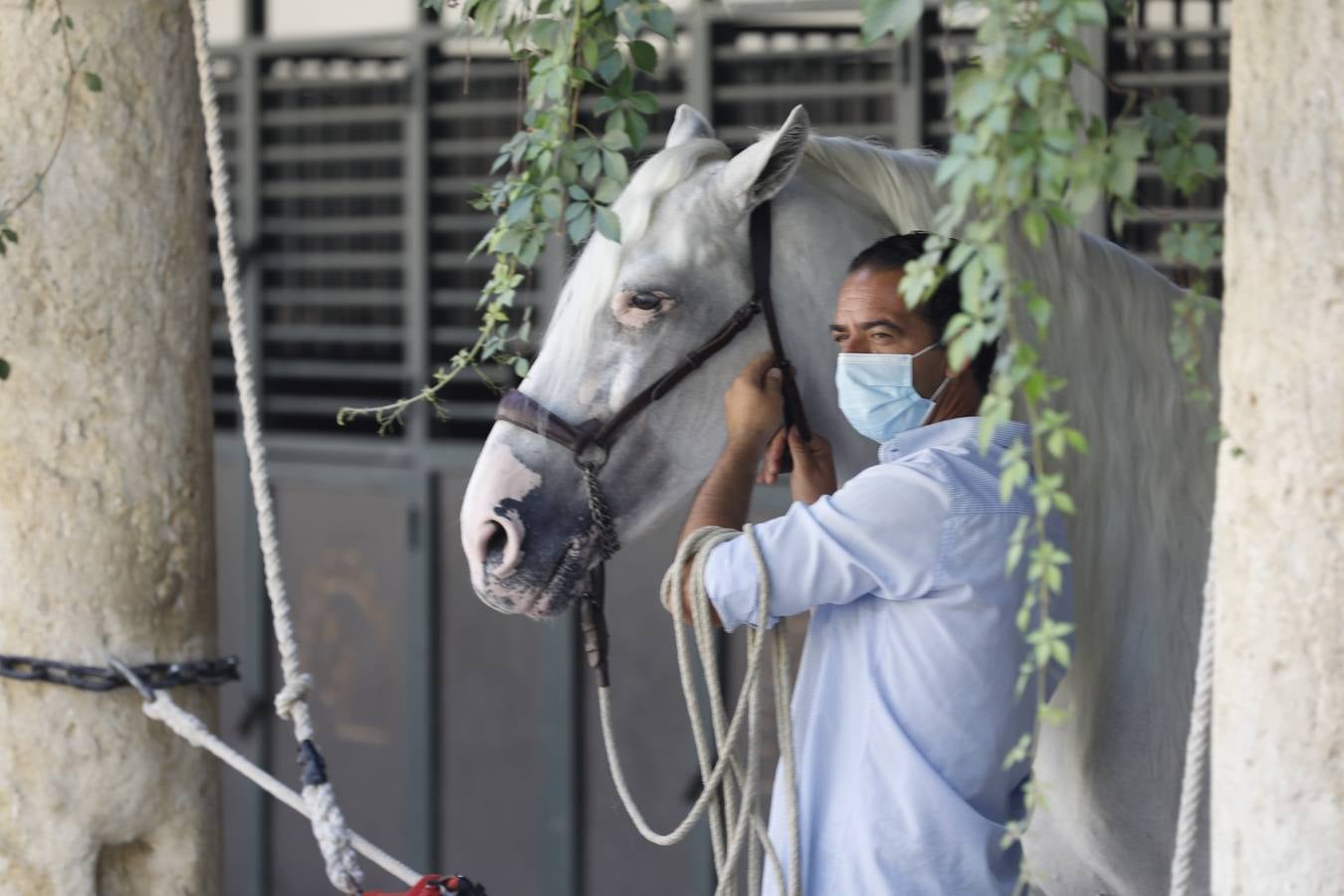 La presentación de Cabalcor 2020, en imágenes