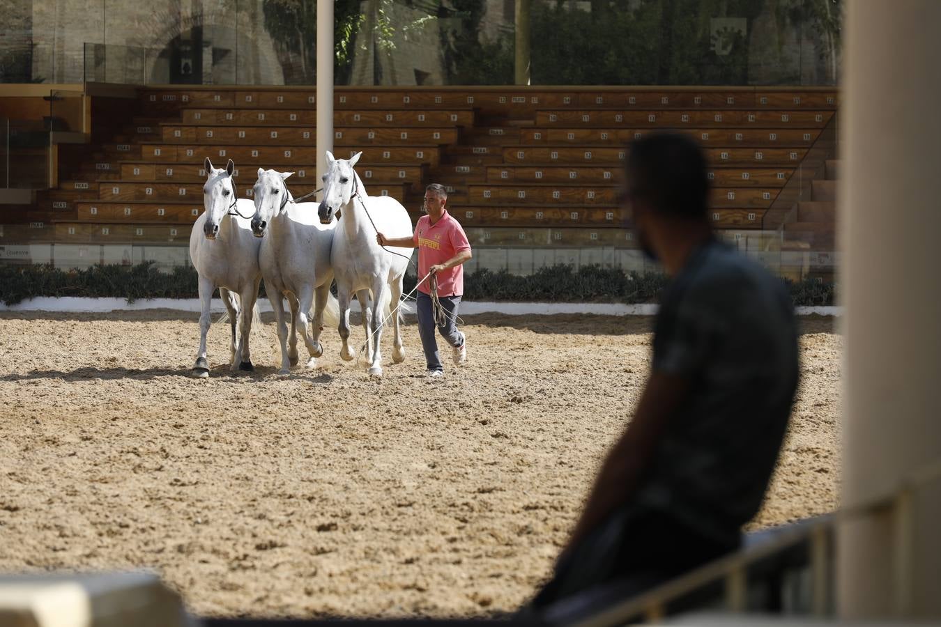 La presentación de Cabalcor 2020, en imágenes