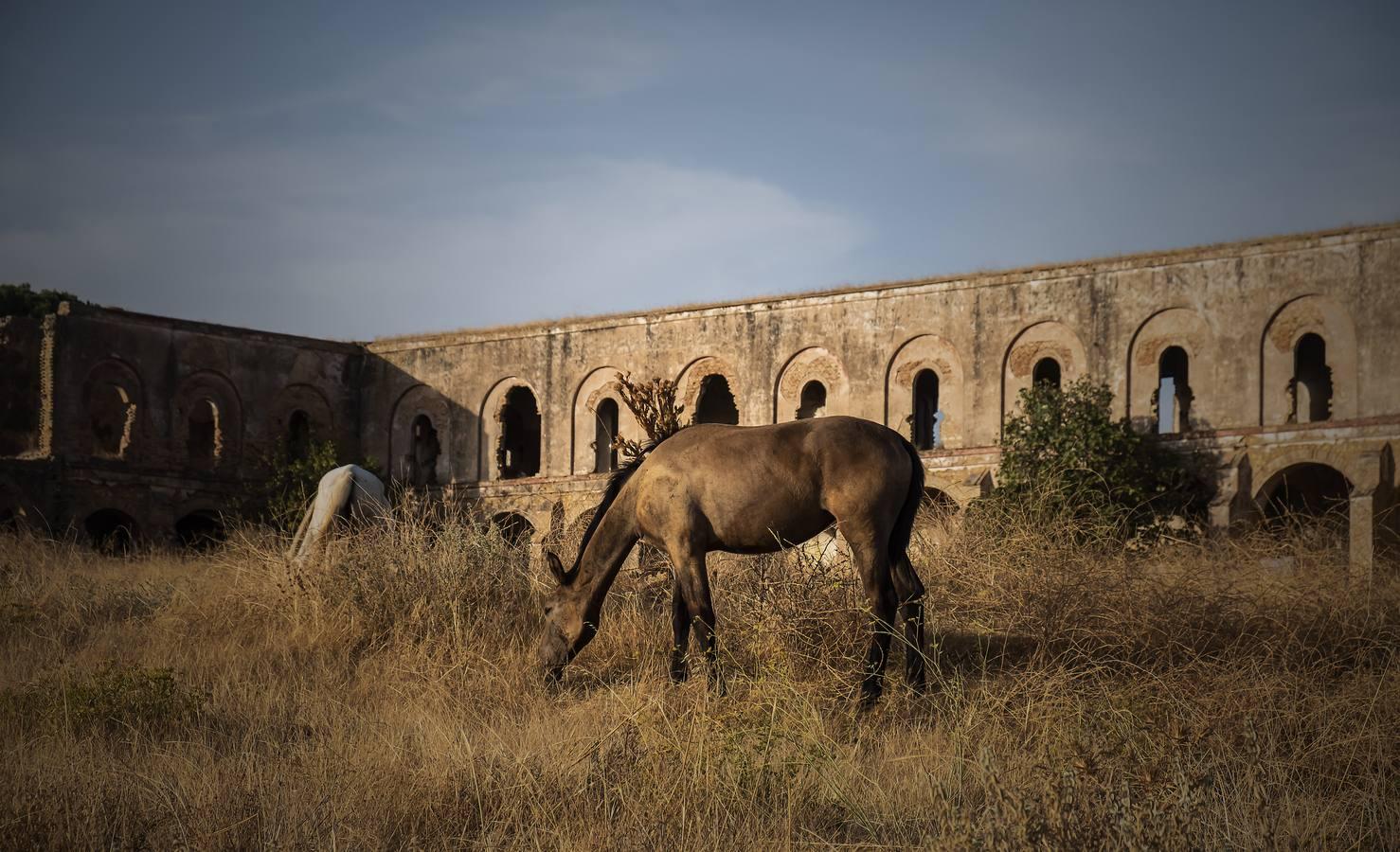 El misterioso convento abandonado de Carmona