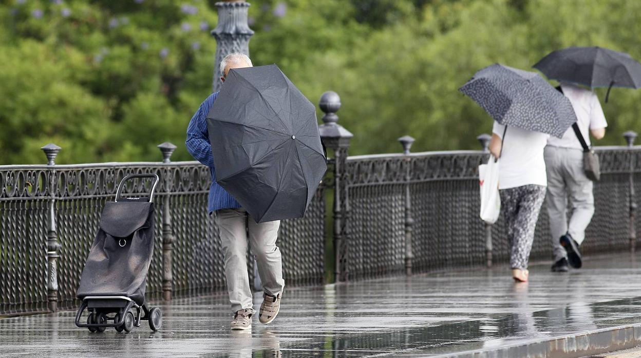 Sevilla, en alerta amarilla a causa de la lluvia