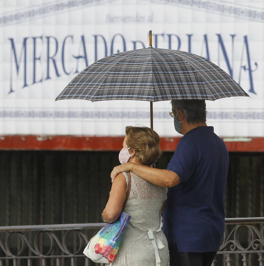 Sevilla, en alerta amarilla a causa de la lluvia