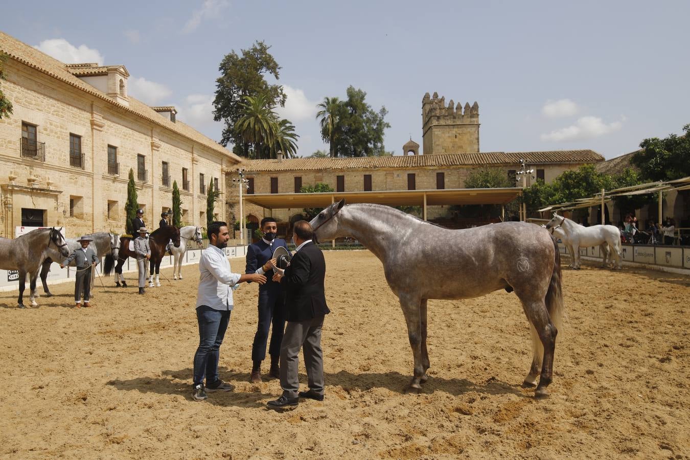 La entrega de premios del «Ciudad de Córdoba», en imágenes