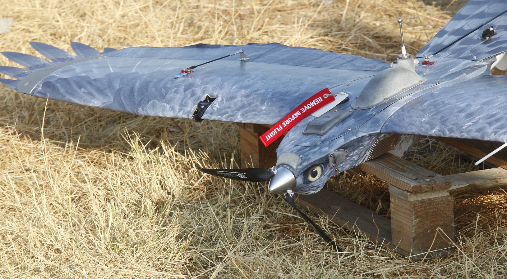 Drones para ahuyentar a la fauna en el aeropuerto de Sevilla