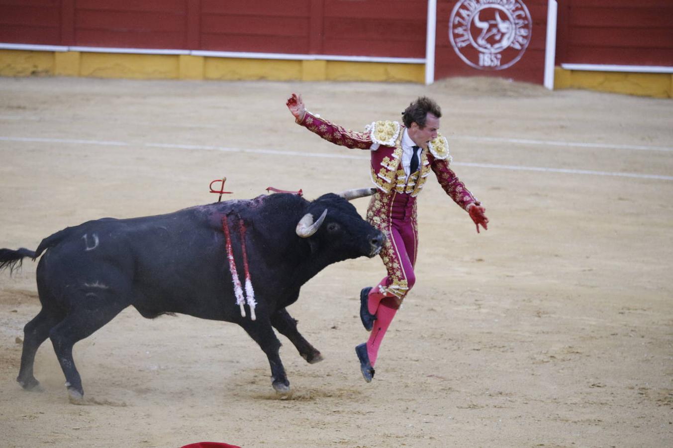 La corrida de toros en Cabra, en imágenes