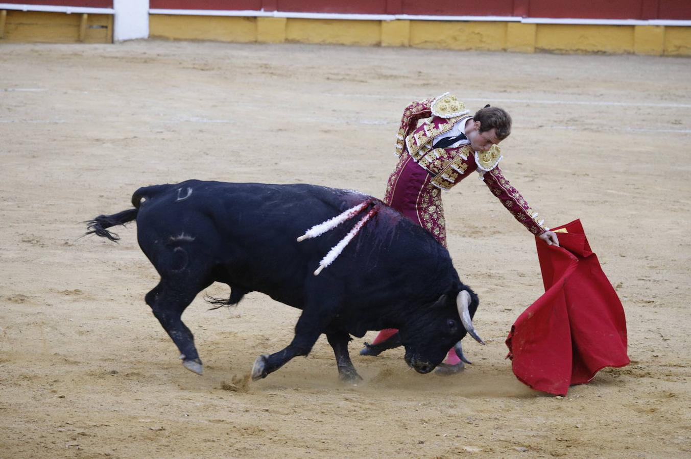 La corrida de toros en Cabra, en imágenes