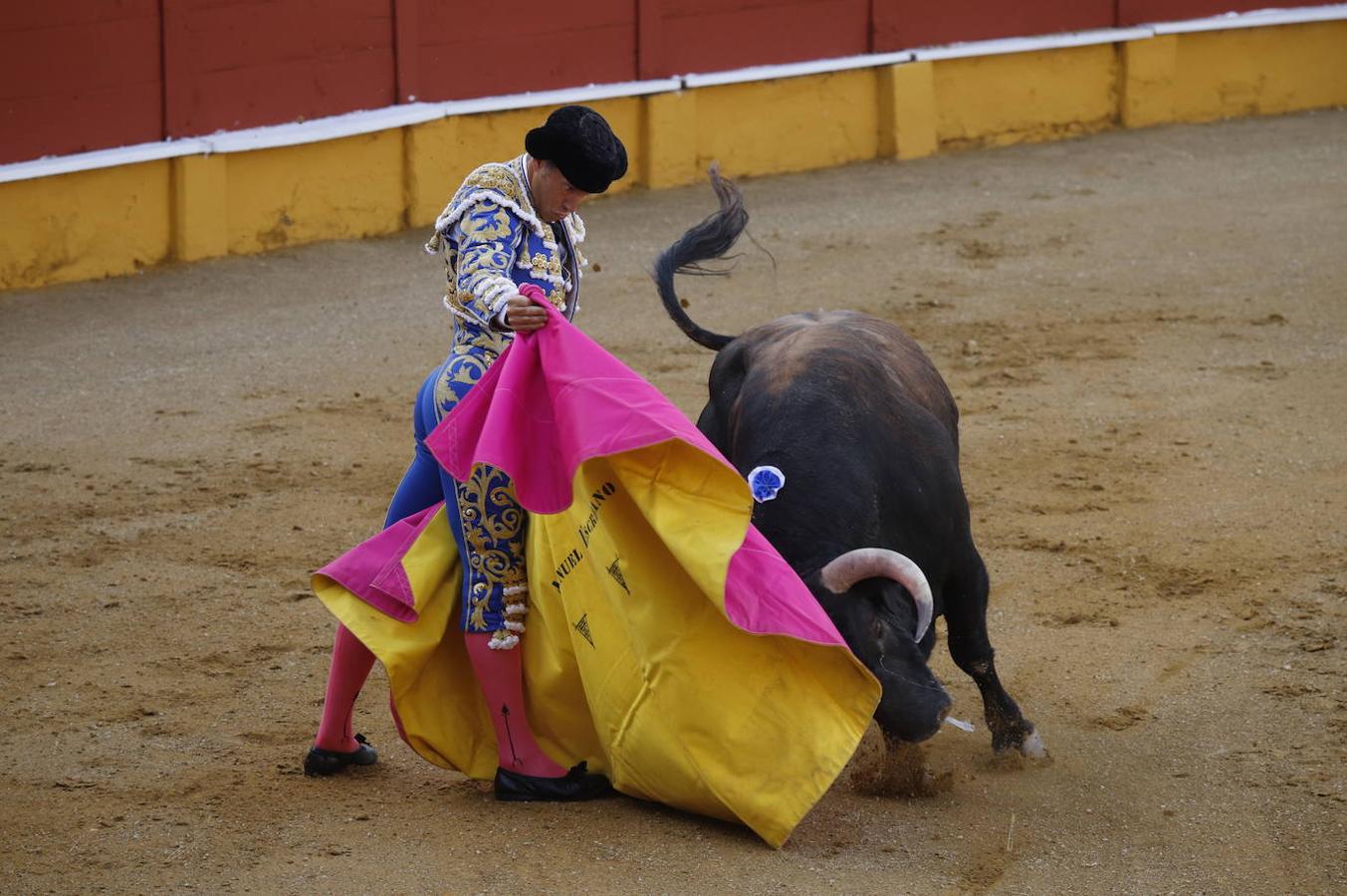 La corrida de toros en Cabra, en imágenes