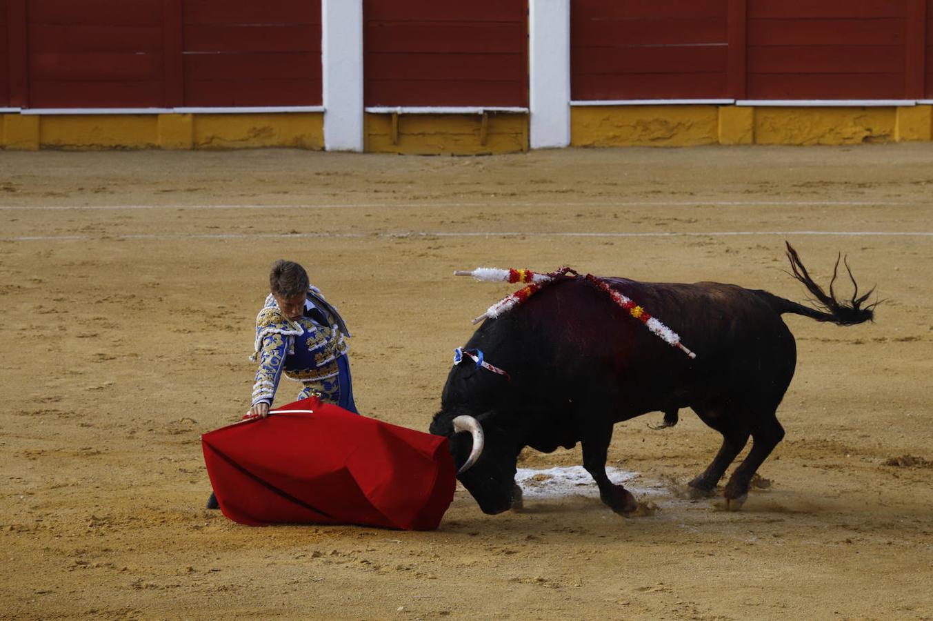 La corrida de toros en Cabra, en imágenes