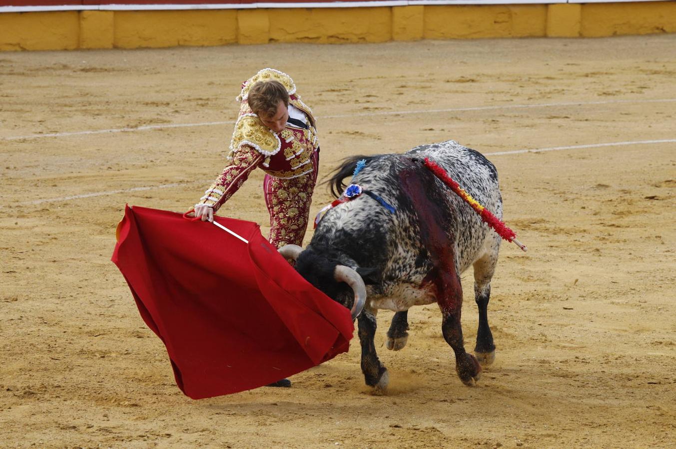 La corrida de toros en Cabra, en imágenes