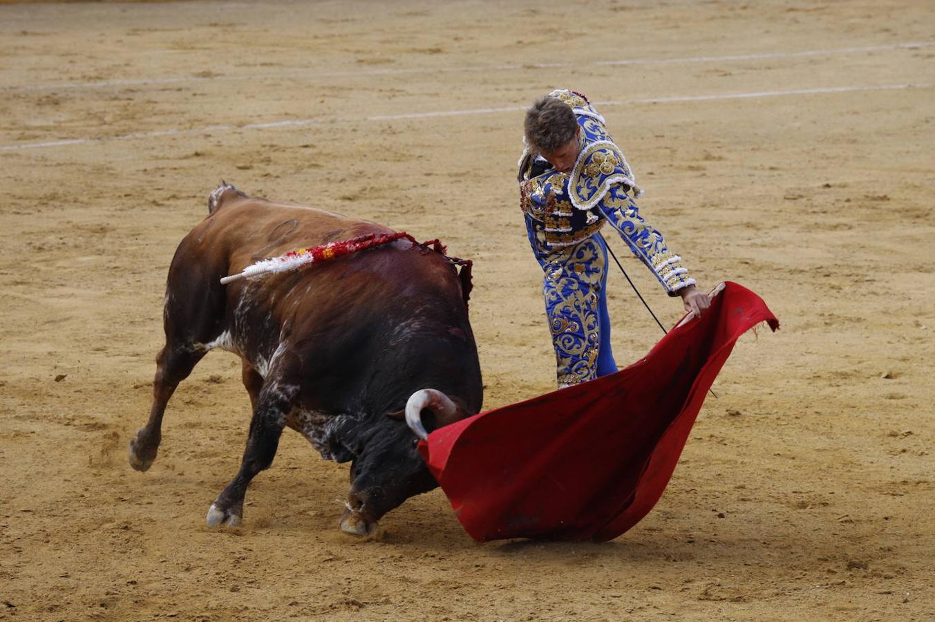 La corrida de toros en Cabra, en imágenes