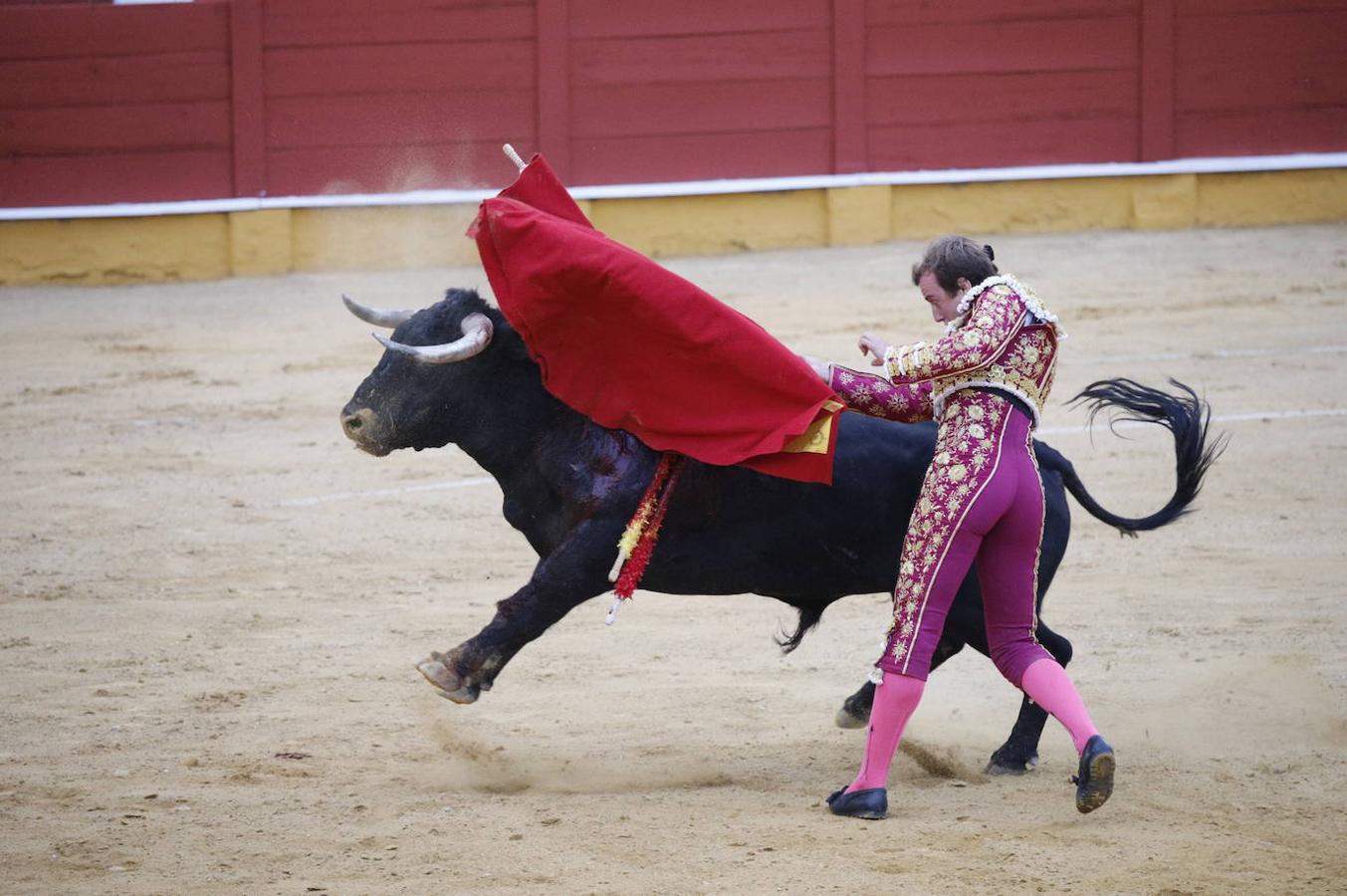 La corrida de toros en Cabra, en imágenes