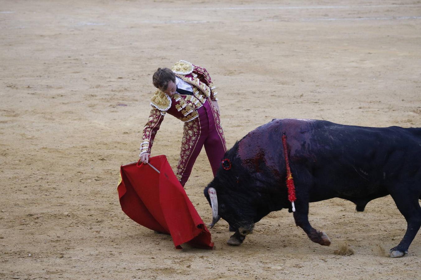 La corrida de toros en Cabra, en imágenes