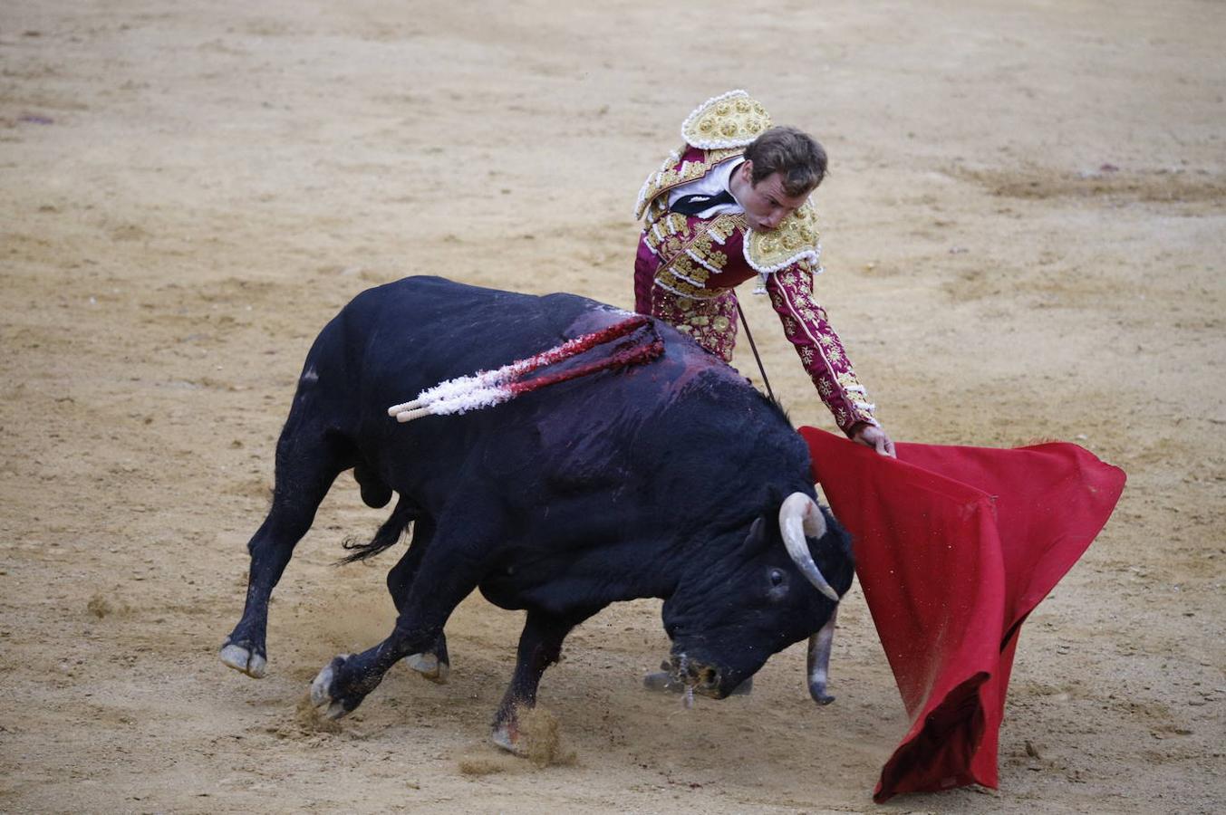 La corrida de toros en Cabra, en imágenes