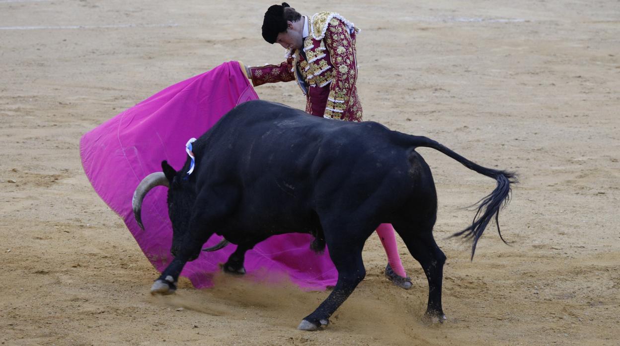 La corrida de toros en Cabra, en imágenes