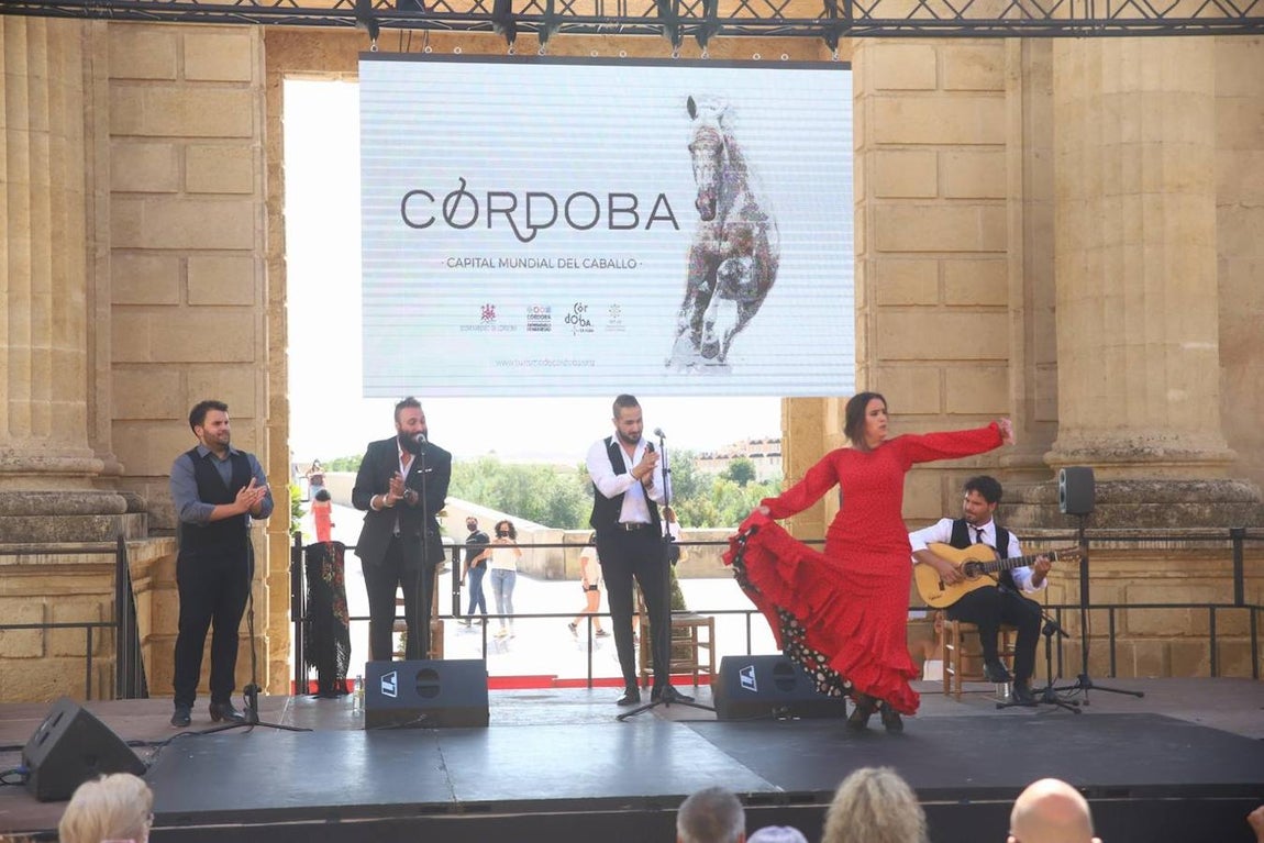 Las celebraciónes del día del Turismo en Córdoba, en imágenes