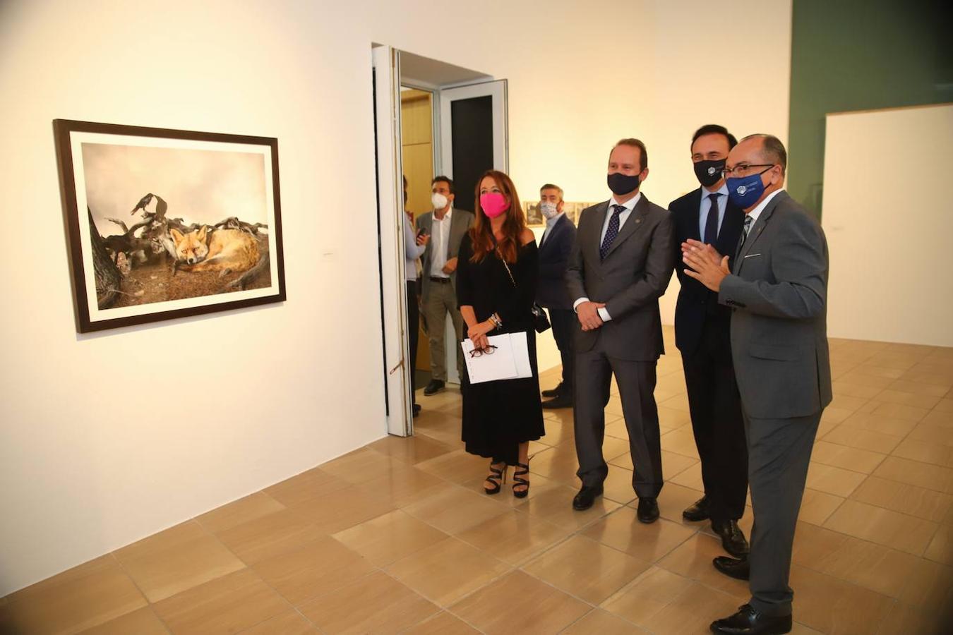 Las exposiciones del X Premio Pilar Citoler en Córdoba, en imágenes