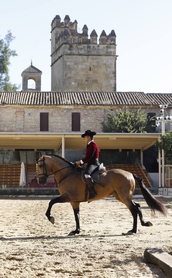 El XIII Campeonato de Andalucía de Alta Escuela en Caballerizas, en imágenes