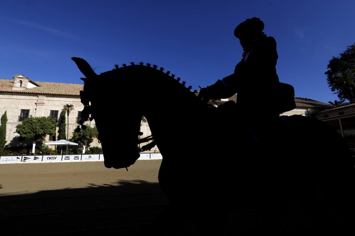 El XIII Campeonato de Andalucía de Alta Escuela en Caballerizas, en imágenes