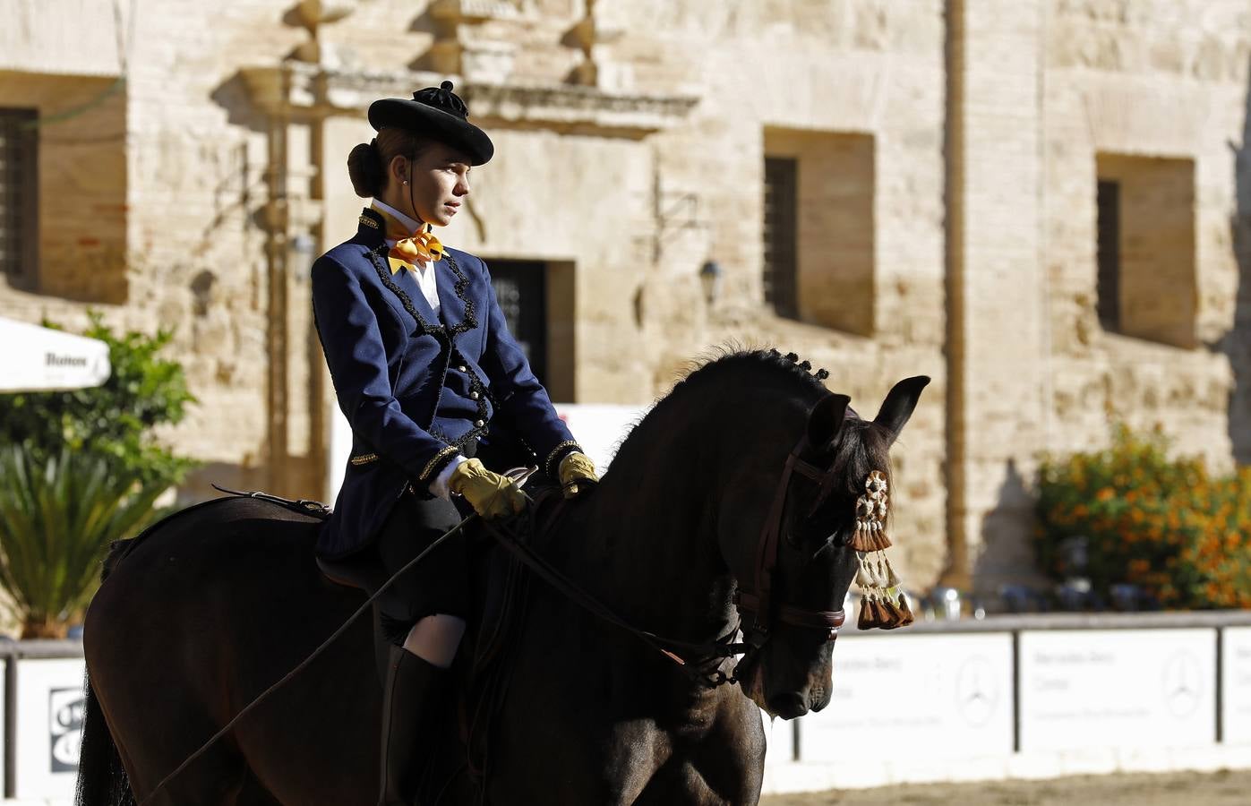 El XIII Campeonato de Andalucía de Alta Escuela en Caballerizas, en imágenes