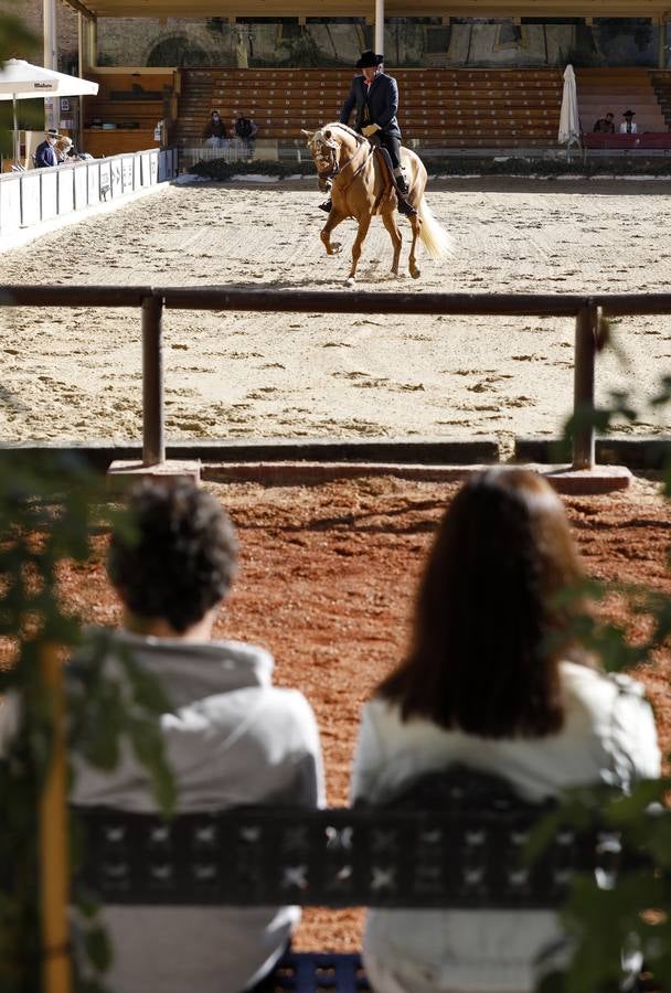 El XIII Campeonato de Andalucía de Alta Escuela en Caballerizas, en imágenes