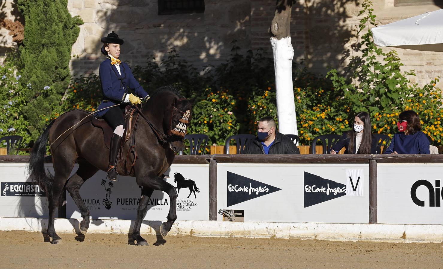 El XIII Campeonato de Andalucía de Alta Escuela en Caballerizas, en imágenes