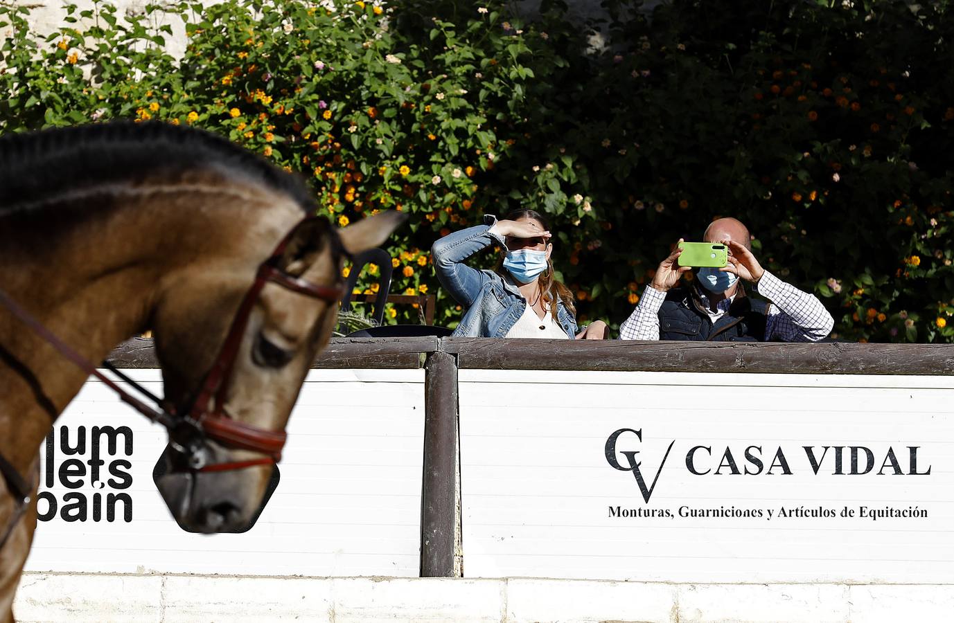 El XIII Campeonato de Andalucía de Alta Escuela en Caballerizas, en imágenes