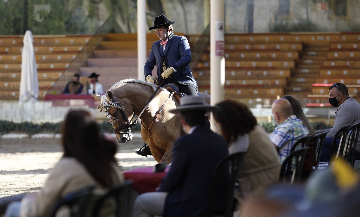 El XIII Campeonato de Andalucía de Alta Escuela en Caballerizas, en imágenes