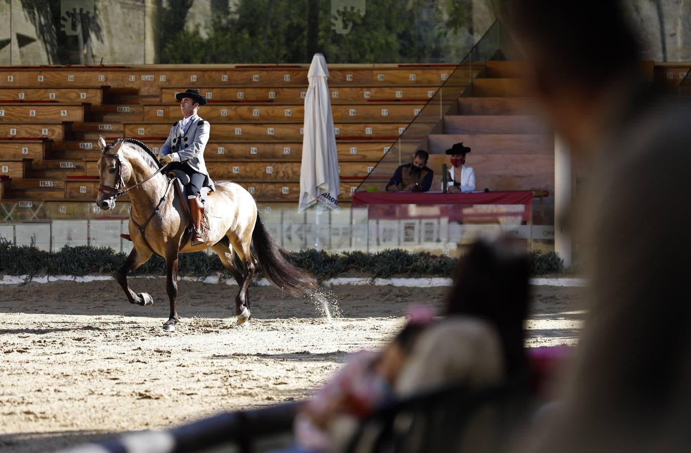 El XIII Campeonato de Andalucía de Alta Escuela en Caballerizas, en imágenes