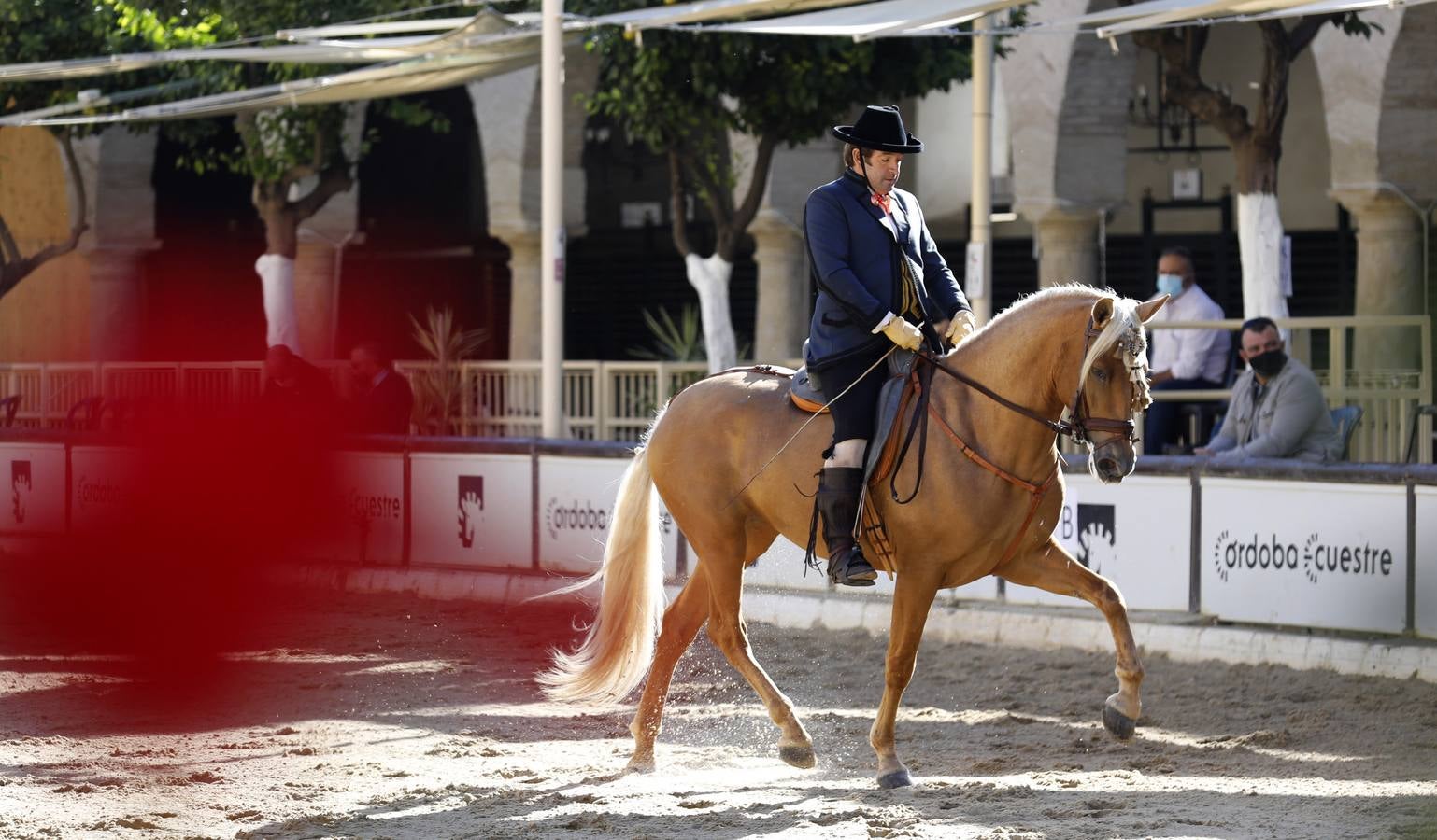 El XIII Campeonato de Andalucía de Alta Escuela en Caballerizas, en imágenes