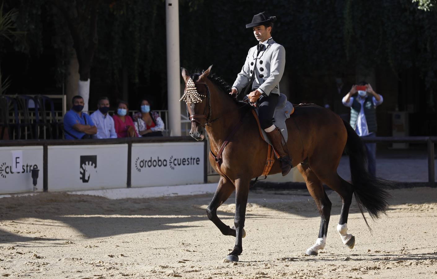 El XIII Campeonato de Andalucía de Alta Escuela en Caballerizas, en imágenes