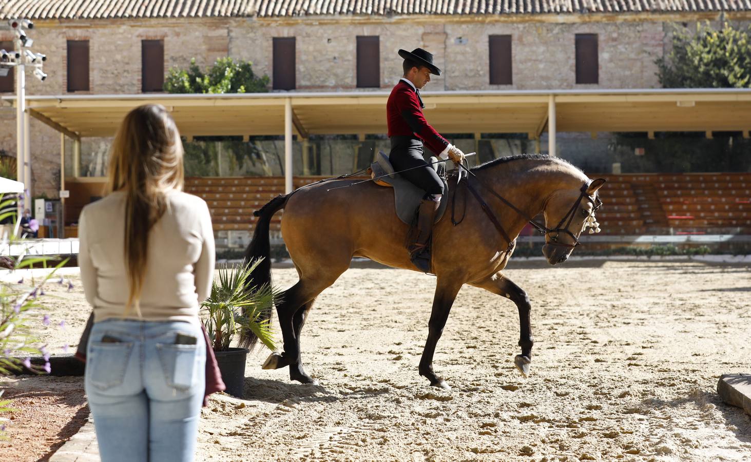 El XIII Campeonato de Andalucía de Alta Escuela en Caballerizas, en imágenes