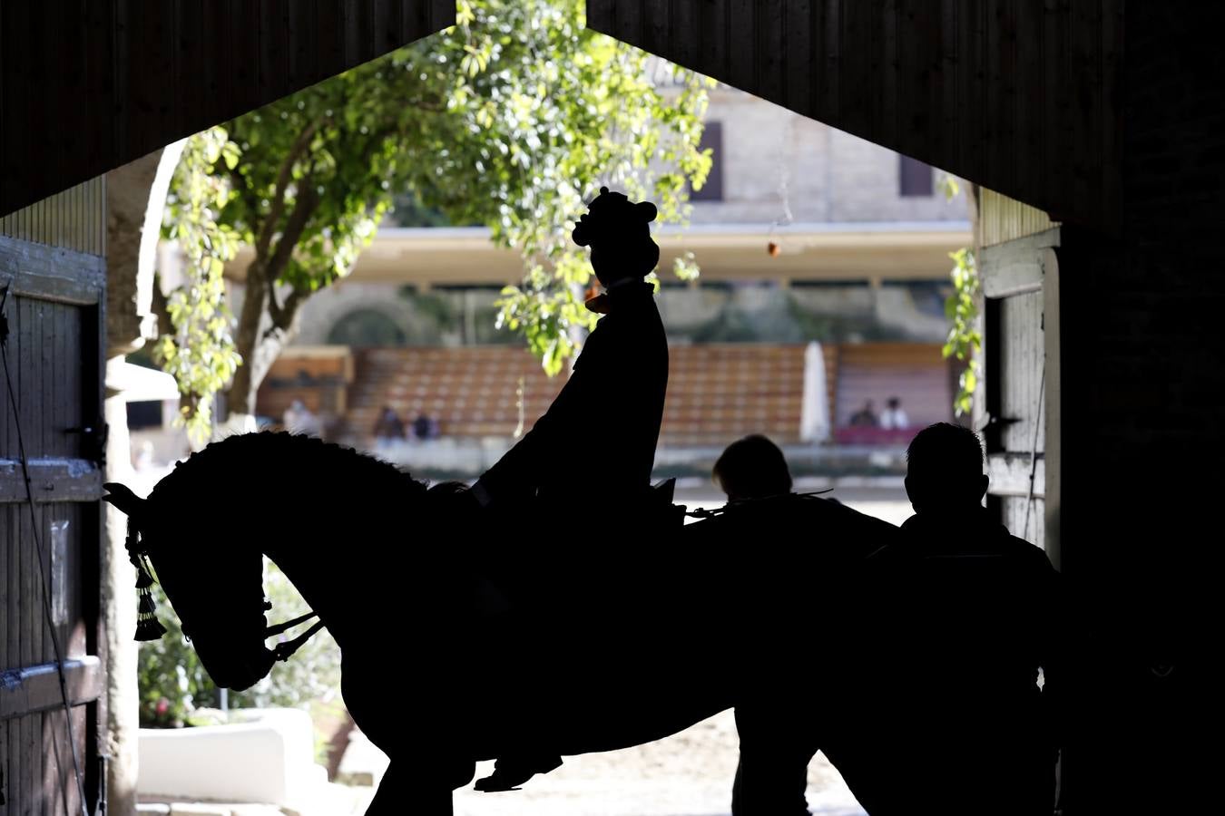 El XIII Campeonato de Andalucía de Alta Escuela en Caballerizas, en imágenes