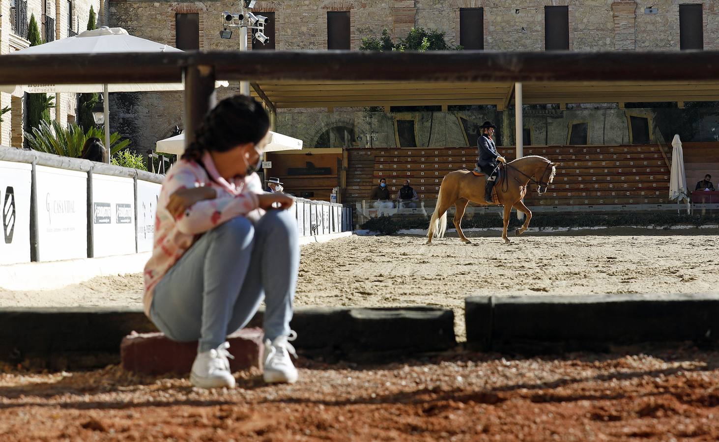 El XIII Campeonato de Andalucía de Alta Escuela en Caballerizas, en imágenes