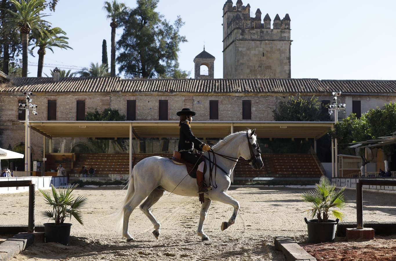 El XIII Campeonato de Andalucía de Alta Escuela en Caballerizas, en imágenes