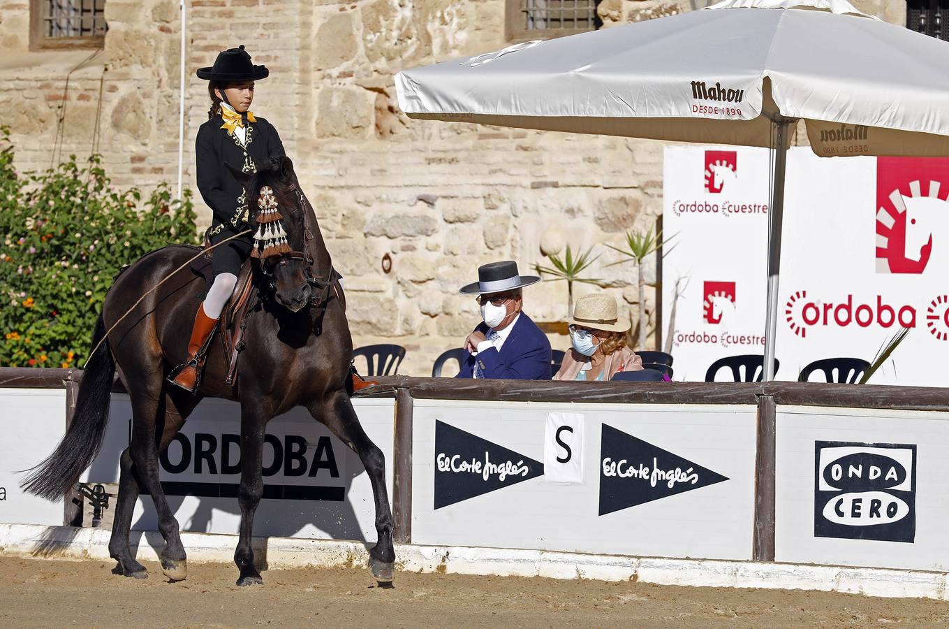 El XIII Campeonato de Andalucía de Alta Escuela en Caballerizas, en imágenes