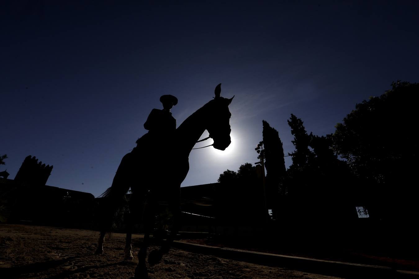 El XVIII Campeonato de Andalucía de Alta Escuela en Caballerizas, en imágenes