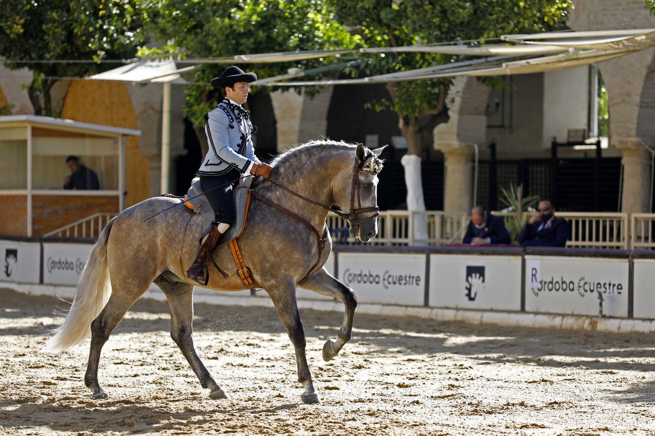 El XVIII Campeonato de Andalucía de Alta Escuela en Caballerizas, en imágenes