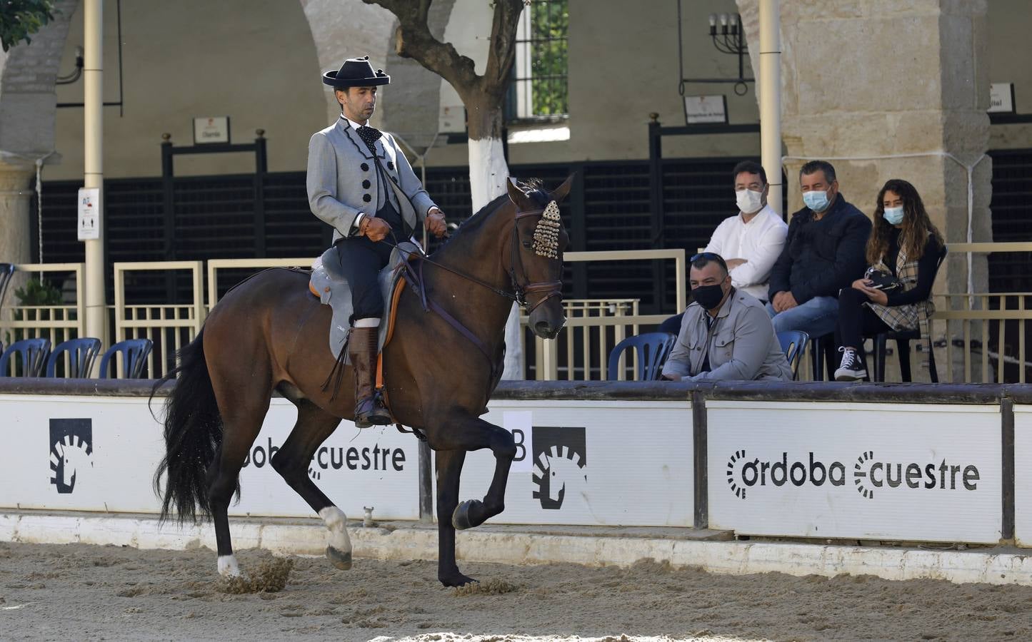 El XVIII Campeonato de Andalucía de Alta Escuela en Caballerizas, en imágenes