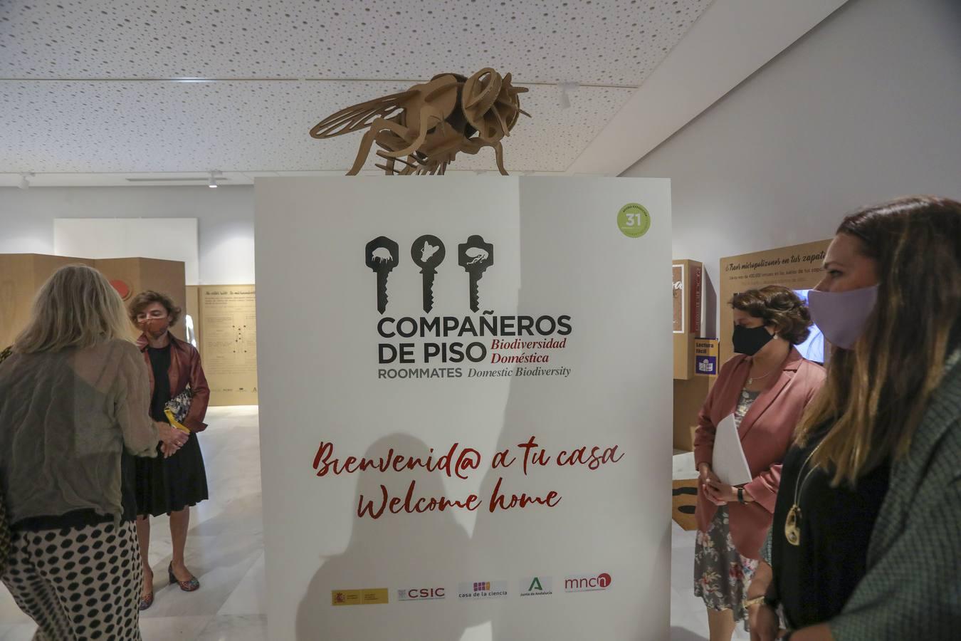 La Casa de la Ciencia de Sevilla reabre sus puertas con una exposición sobre Marte