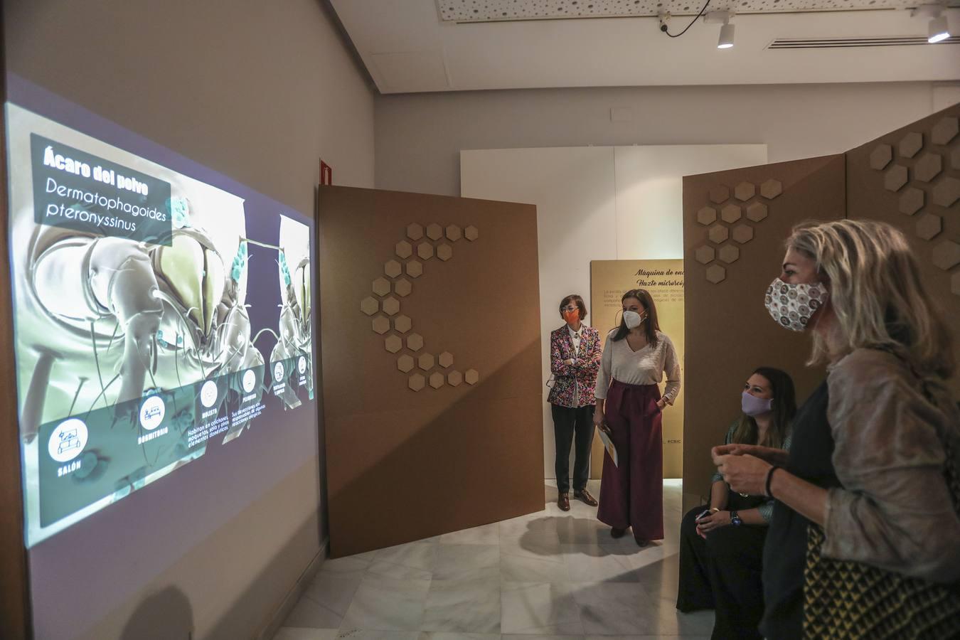 La Casa de la Ciencia de Sevilla reabre sus puertas con una exposición sobre Marte