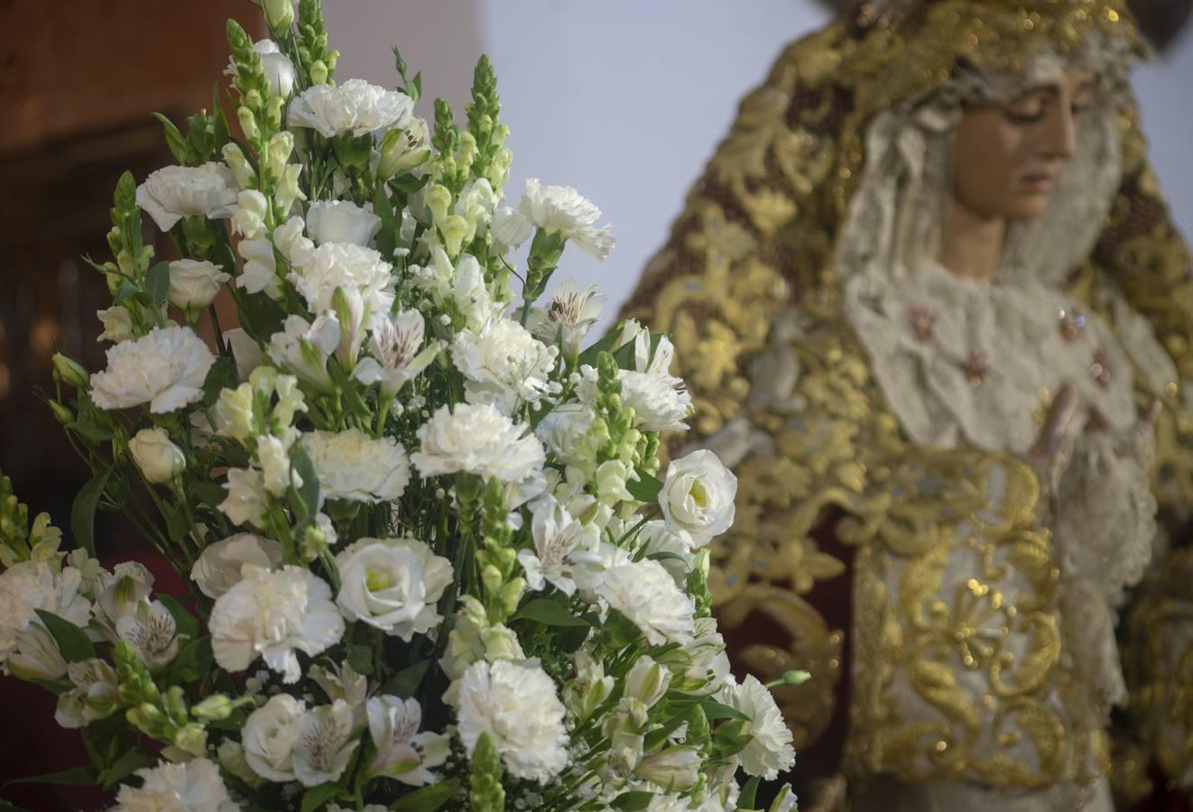 Galería de la Virgen de Regla de los Panaderos