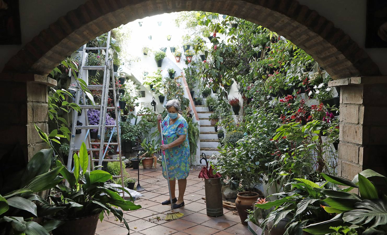 En imágenes, los Patios de Córdoba 2020 se preparan para su apertura