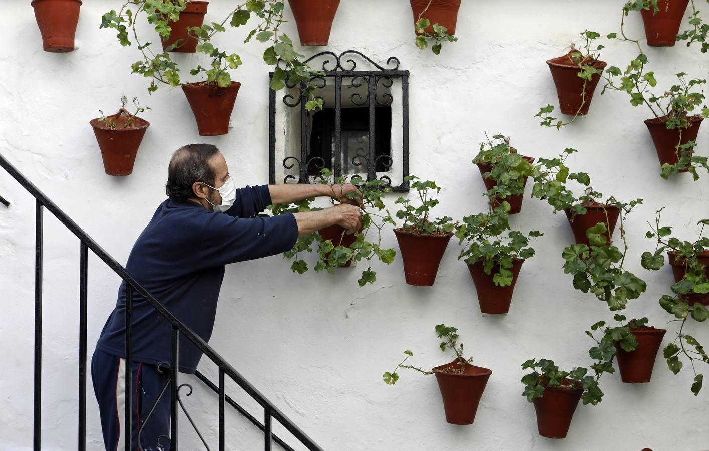 En imágenes, los Patios de Córdoba 2020 se preparan para su apertura