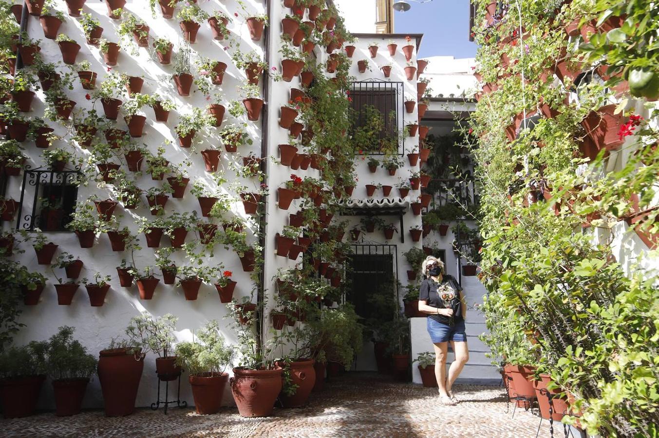 Patios de Córdoba 2020 | La ruta del barrio de San Basilio, en imágenes