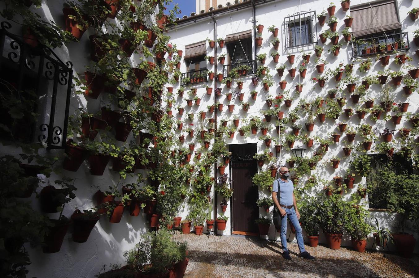 Patios de Córdoba 2020 | La ruta del barrio de San Basilio, en imágenes