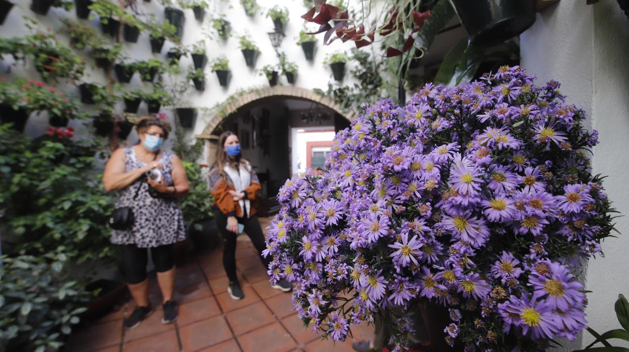 Patios de Córdoba 2020 | La ruta del barrio de San Basilio, en imágenes