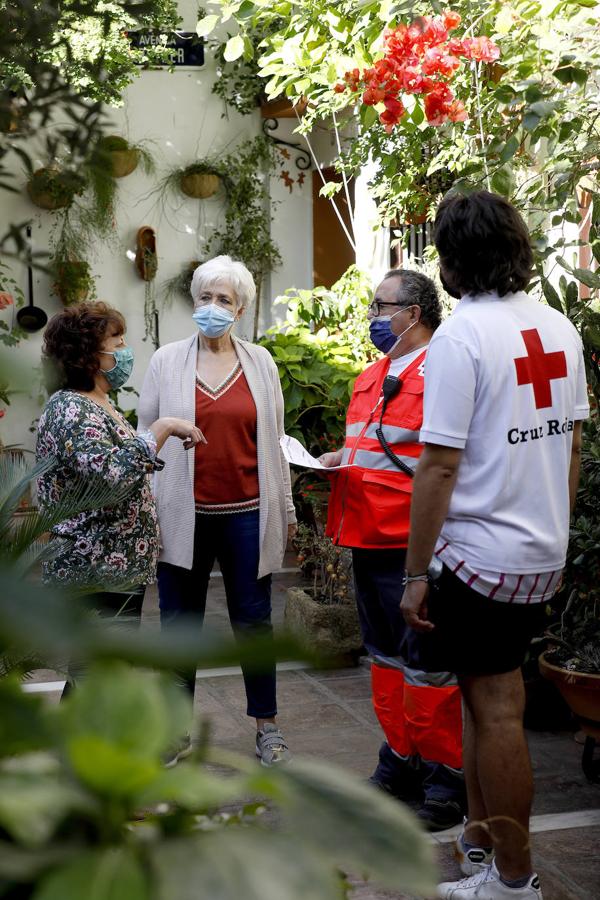 Patios Córdoba 2020 | La labor de los controladores y propietarios, en imágenes